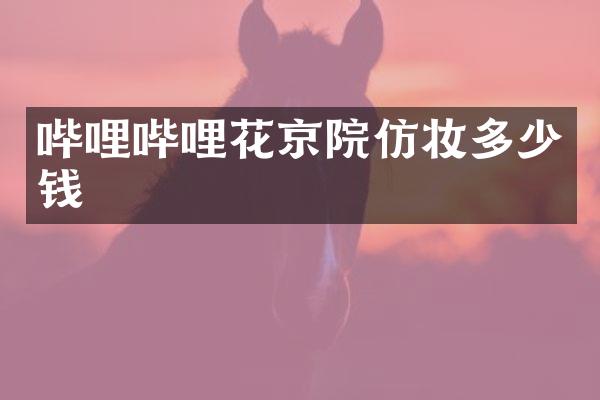 哔哩哔哩花京院仿妆多少钱