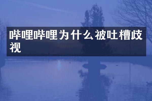 哔哩哔哩为什么被吐槽歧视