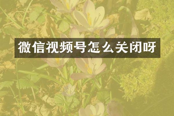 微信视频号怎么关闭呀