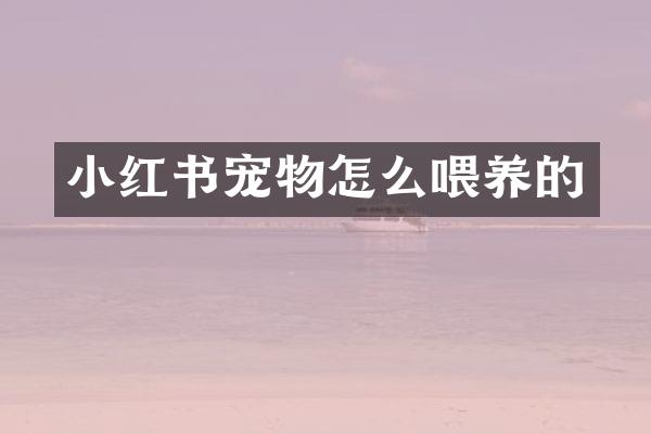 小红书宠物怎么喂养的