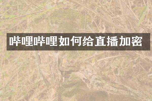 哔哩哔哩如何给直播加密