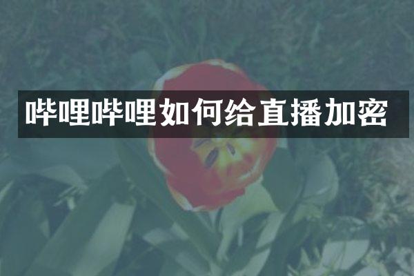 哔哩哔哩如何给直播加密