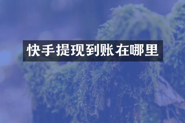 快手提现到账在哪里