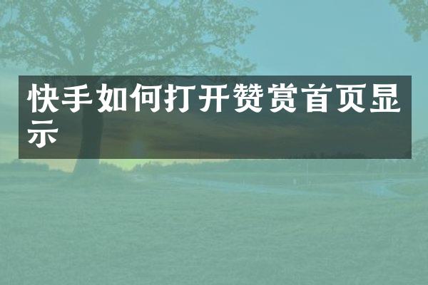 快手如何打开赞赏首页显示
