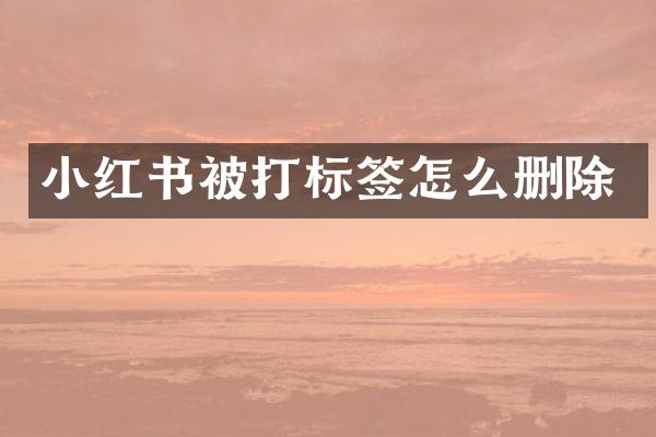 小红书被打标签怎么删除