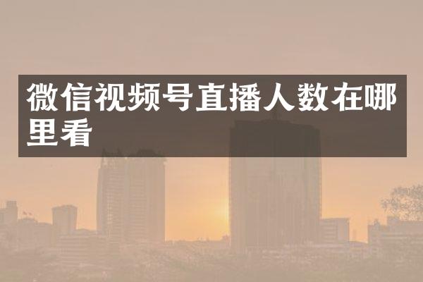 微信视频号直播人数在哪里看