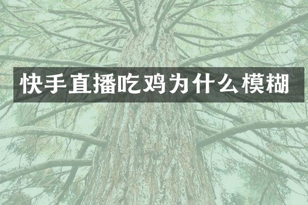 快手直播吃鸡为什么模糊