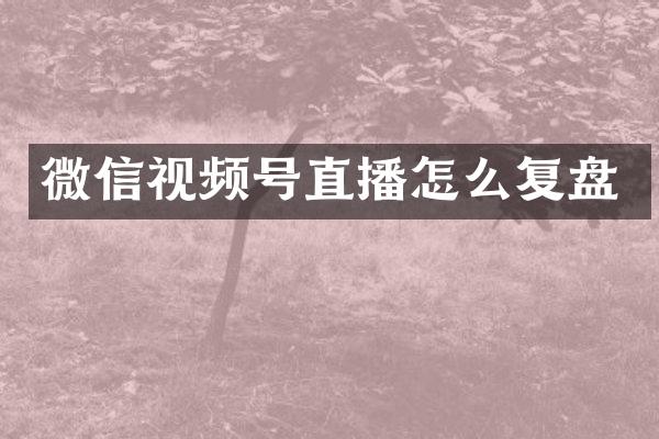 微信视频号直播怎么复盘