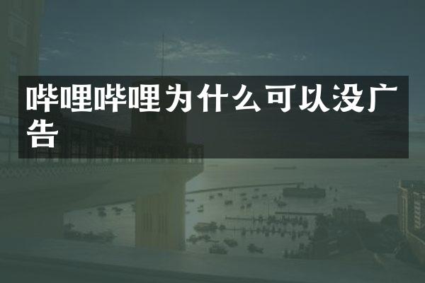 哔哩哔哩为什么可以没广告