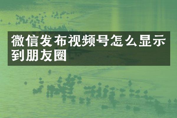 微信发布视频号怎么显示到朋友圈