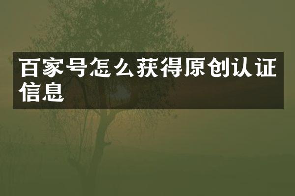 百家号怎么获得原创认证信息