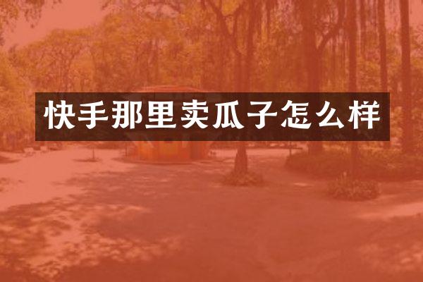 快手那里卖瓜子怎么样