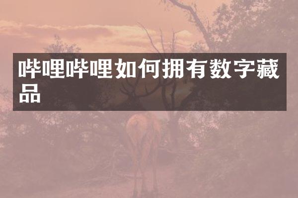 哔哩哔哩如何拥有数字藏品