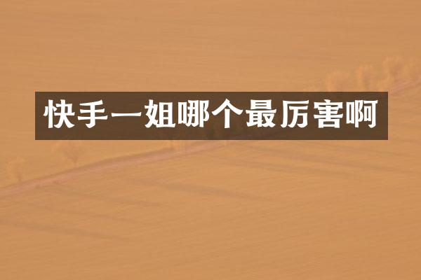 快手一姐哪个最厉害啊