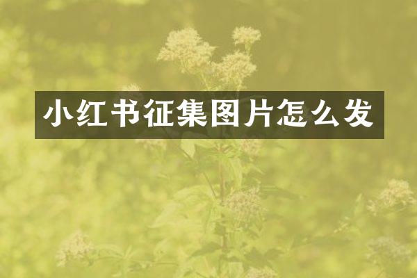 小红书征集图片怎么发