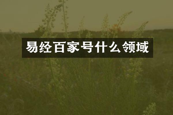 易经百家号什么领域