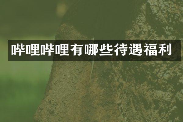 哔哩哔哩有哪些待遇福利