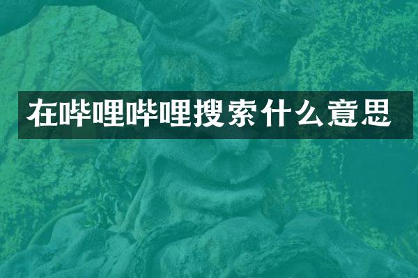在哔哩哔哩搜索什么意思