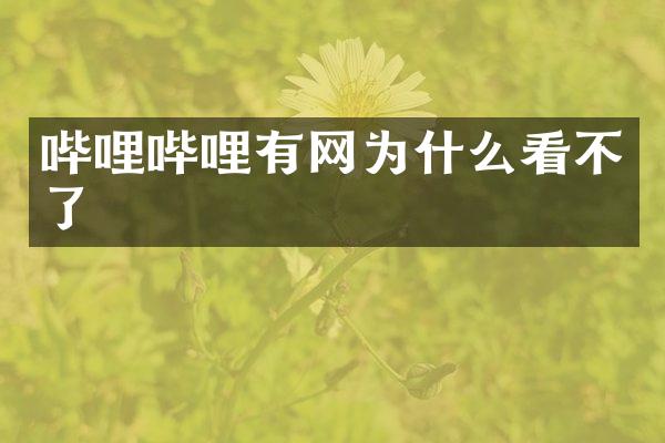 哔哩哔哩有网为什么看不了