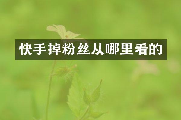 快手掉粉丝从哪里看的