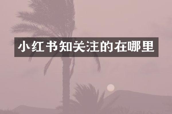 小红书知关注的在哪里
