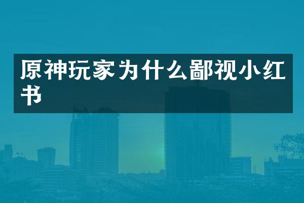 原神玩家为什么鄙视小红书
