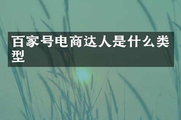 百家号电商达人是什么类型