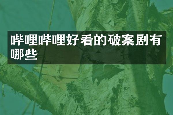 哔哩哔哩好看的剧有哪些