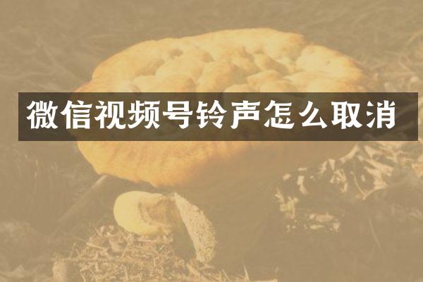 微信视频号铃声怎么取消