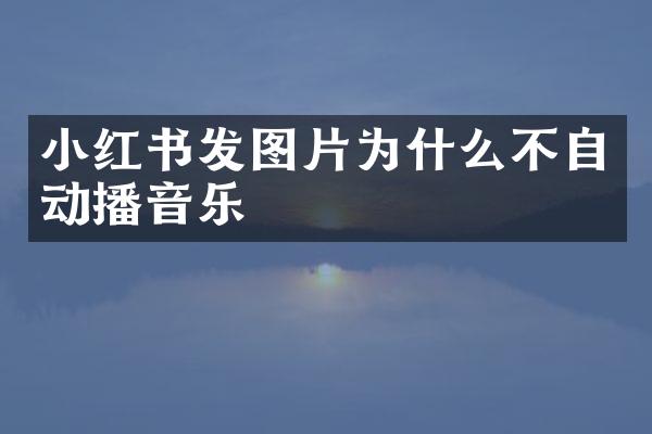 小红书发图片为什么不自动播音乐