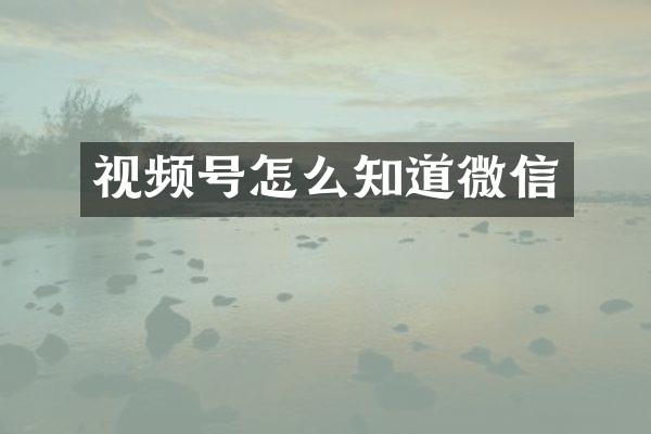 视频号怎么知道微信