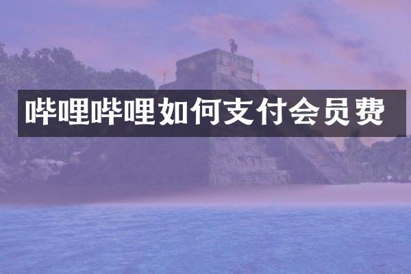 哔哩哔哩如何支付会员费