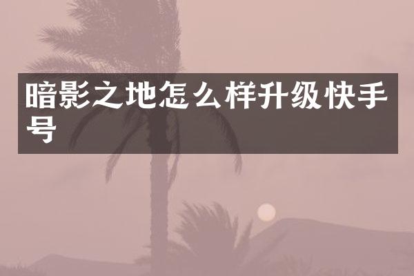暗影之地怎么样升级快手号
