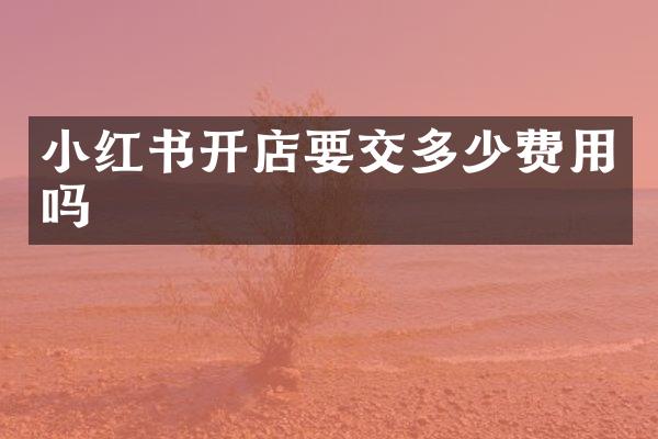 小红书开店要交多少费用吗