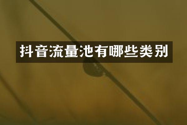 抖音流量池有哪些类别