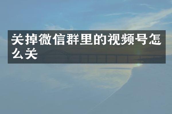 关掉微信群里的视频号怎么关