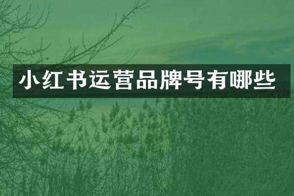 小红书运营品牌号有哪些