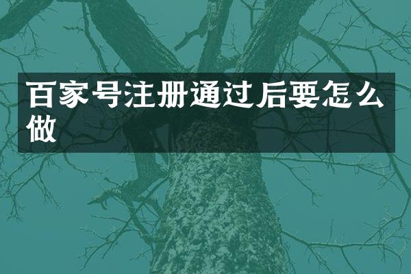 百家号注册通过后要怎么做