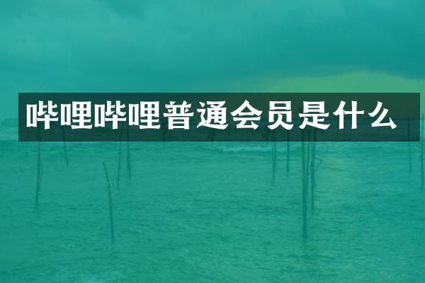 哔哩哔哩普通会员是什么