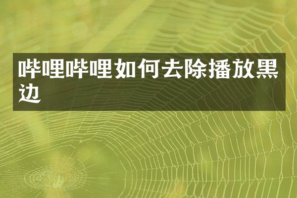 哔哩哔哩如何去除播放黑边