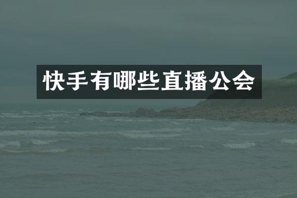 快手有哪些直播公会