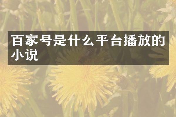 百家号是什么平台播放的小说