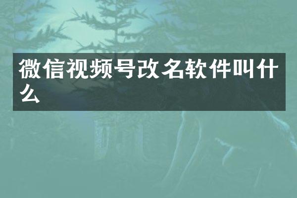 微信视频号改名软件叫什么