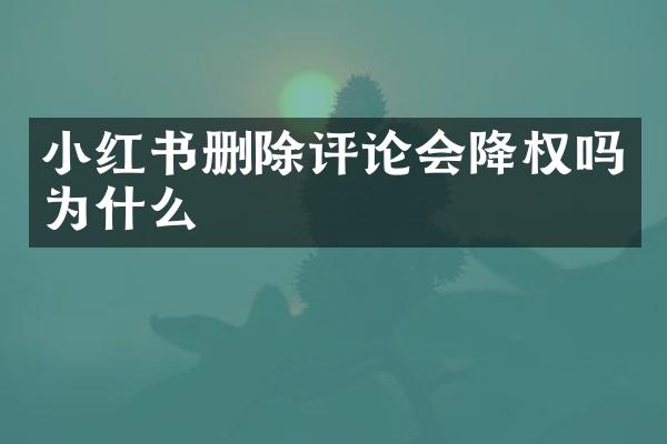 小红书删除评论会降权吗为什么