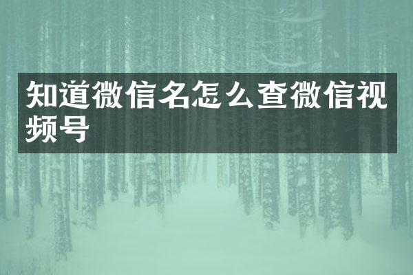 知道微信名怎么查微信视频号