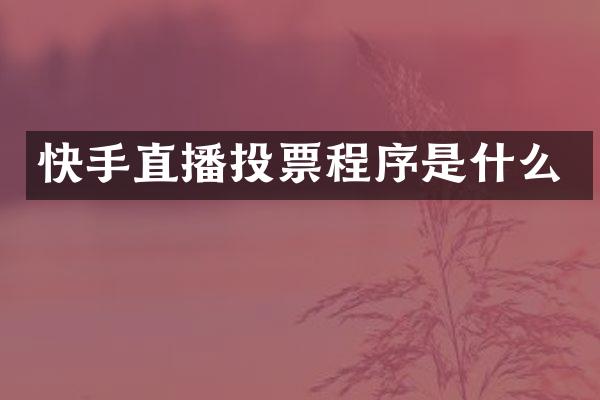 快手直播投票程序是什么