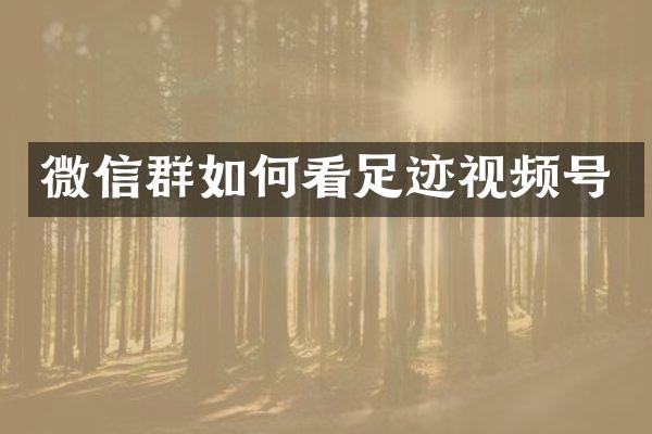 微信群如何看足迹视频号