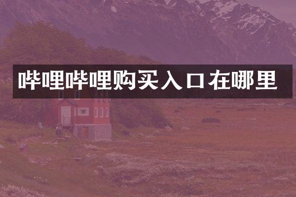 哔哩哔哩购买入口在哪里