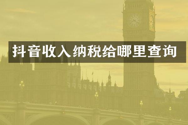 抖音收入纳税给哪里查询