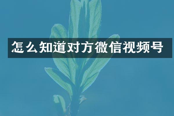 怎么知道对方微信视频号